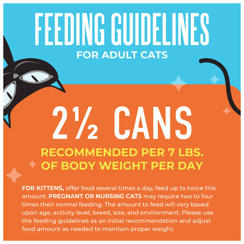 Tiki Cat Friends Minced Wet Cat Food - Tuna & Pumpkin - 2.8oz Can