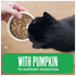 Tiki Cat Friends Minced Wet Cat Food - Tuna, Ocean Whitefish, & Pumpkin - 2.8oz Can