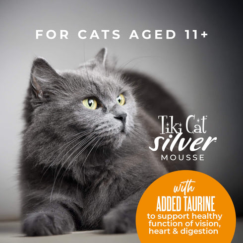 Tiki Cat Silver Mousse Wet Cat Food - Salmon & Pumpkin in Broth - 2.8oz Pouch