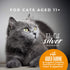 Tiki Cat Silver Mousse Wet Cat Food - Salmon & Pumpkin in Broth - 2.8oz Pouch