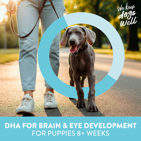 Dogswell Puppy Health Mini Soft Strip Dog Treats - Lamb - 10oz Pouch