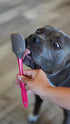 Messy Mutts Silicone Therapeutic Dog Lick Mat with Silicone Spatula - 8" x 8"
