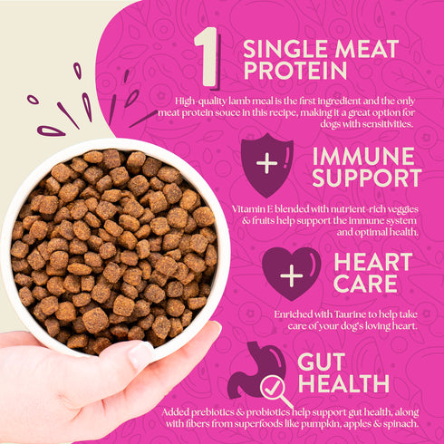 Earthborn Holistic Grain Free Dry Dog Food - Meadow Feast - 25lb Bag