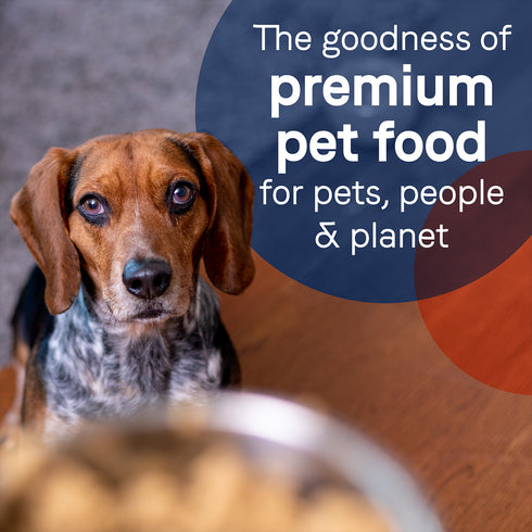 Canidae Pure Grain Free Wet Dog Food - Duck & Turkey - 13oz Can