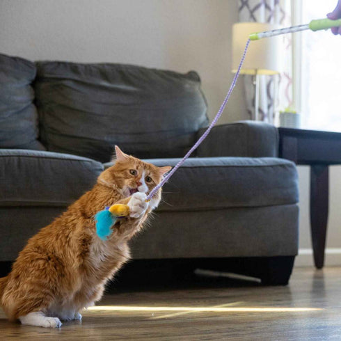 Catstages Twinkle Star Light Up Wand Cat Toy