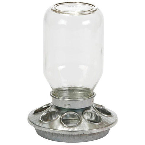 Little Giant Chick Feeder & Drinker Jar with Base - 1 Quart