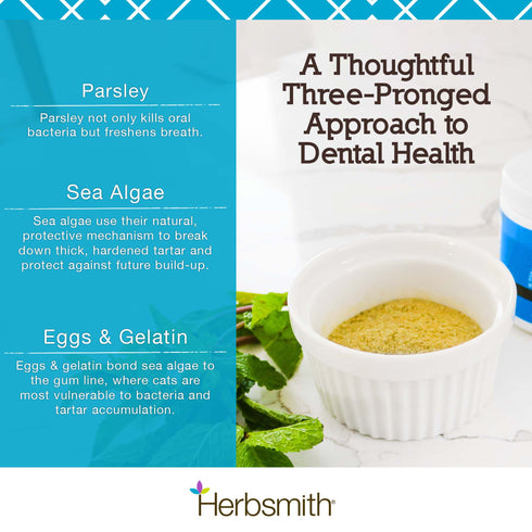 Herbsmith Cat Breath Dental Support - 75g Powder