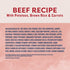 Natural Balance Ultra Premium Wet Dog Food - Beef - 13oz Can