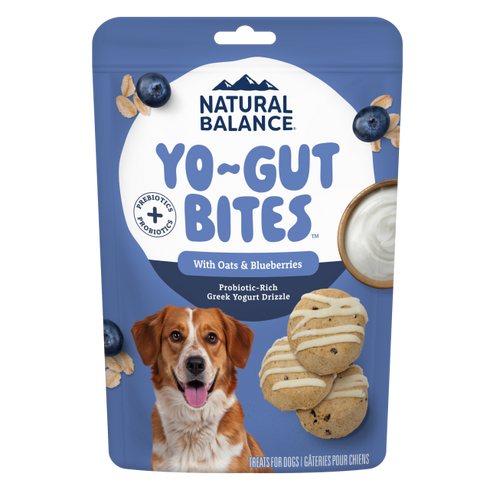Natural Balance Treat Yo-Gut Bites Dog Treats - Blueberry & Oat - 4.5oz Pouch