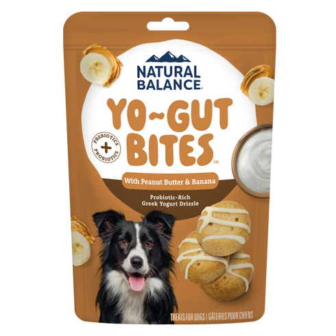 Natural Balance Treat Yo-Gut Bites Dog Treats - Peanut Butter & Banana - 10oz Pouch
