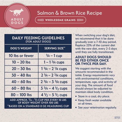 Natural Balance Limited Ingredient Dry Dog Food - Salmon & Brown Rice - 4lb Bag