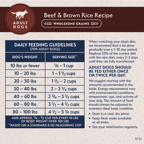 Natural Balance Limited Ingredient Dry Dog Food - Beef & Brown Rice - 24lb Bag