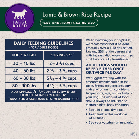 Natural Balance Limited Ingredient Large Breeds Dry Dog Food - Lamb & Brown Rice - 26lb Bag