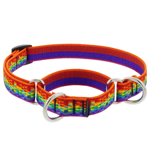 Lupine Martingale Dog Collar - 3/4" x 14-20" - Pixel Party
