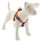 Lupine Step In Dog Harness - 1" x 19"-28" - Pixel Party