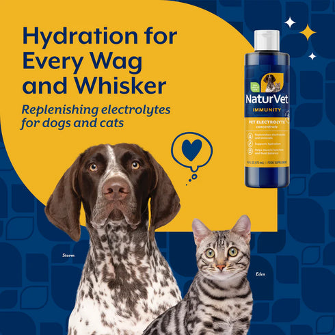 Naturvet Pet Electrolyte Concentrate For Dogs & Cats - 16oz Bottle