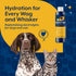 Naturvet Pet Electrolyte Concentrate For Dogs & Cats - 16oz Bottle