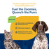 Naturvet Pet Electrolyte Concentrate For Dogs & Cats - 16oz Bottle
