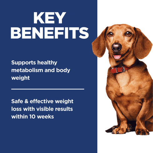 Hill's Science Diet Adult Perfect Weight Small & Mini Dry Dog Food - Chicken & Brown Rice - 12lb Bag