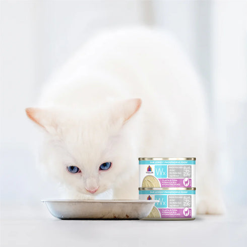Weruza Wx Phos Focused Wet Cat Food - Tilapia & Tuna In Puree - 3oz Can
