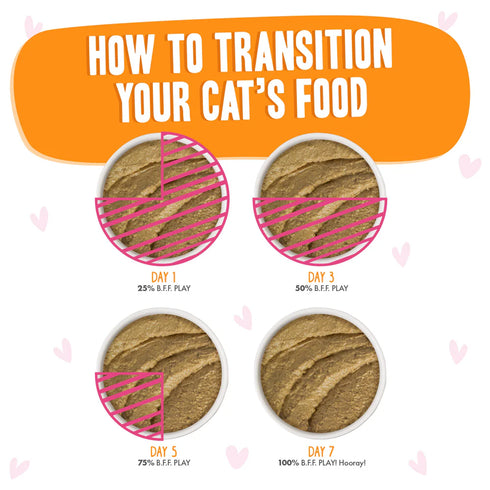 BFF PLAY Pate Wet Cat Food - Tuna & Salmon Oh Snap - 2.8oz Can