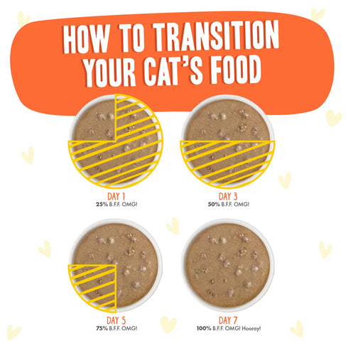 BFF OMG Wet Cat Food - Chicken & Salmon Shine Bright - 2.8oz Pouch