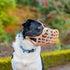 Baskerville Classic Basket Dog Muzzle - Size 3 - Tan