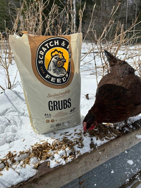 Scratch & Peck Grubs Treats For Chickens & Livestock - 3.5lb Bag