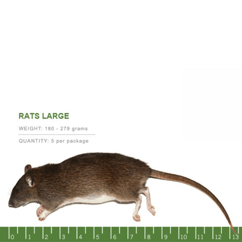 PERFECT PREY Frozen Rat Large - Poudre Pet and Feed Supply