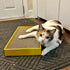 Turbo Scratcher Rectangle Cat Scratching Post - Yellow