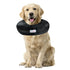 Comfurt Collar Pet Recovery Collar - XXL - Black