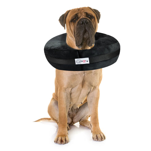 Comfurt Collar Pet Recovery Collar - XXL - Black