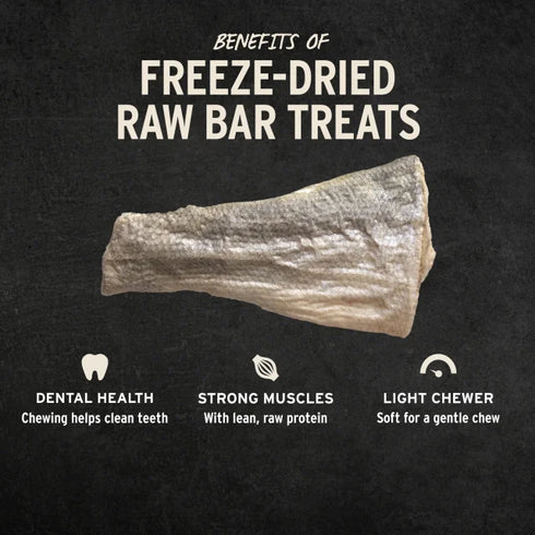Vital Essentials Freeze Dried Raw Bar Dog Treats - Silver Carp Filets - Single Pack