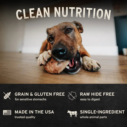 Vital Essentials Freeze Dried Raw Bar Dog Treats - Silver Carp Filets - Single Pack