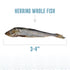 Icelandic+ Whole Fish Cat Treats - Herring -+ 1oz Pouch