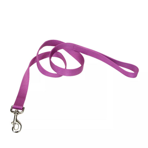 Coastal Single Ply Dog Leash - 4' - Orchid