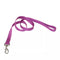 Coastal Single Ply Dog Leash - 4' - Orchid