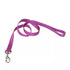 Coastal Single Ply Dog Leash - 4' - Orchid