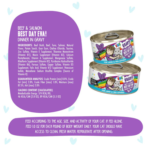 BFF OMG Wet Cat Food - Beef & Salmon Best Day Eva! - 2.8oz Can