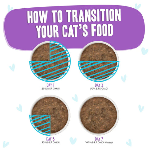 BFF OMG Wet Cat Food - Beef & Salmon Best Day Eva! - 2.8oz Can