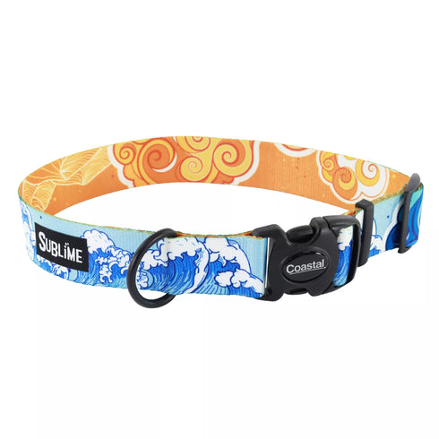 Coastal Sublime Adjustable Dog Collar - Large 1 1/2" x 18-26" - Land & Sea