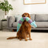 Patchwork Pet Sharkapillar Dog Toy - 35"
