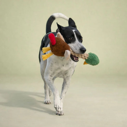 Patchwork Pet Tug and Toss Mallard Duck - 15"