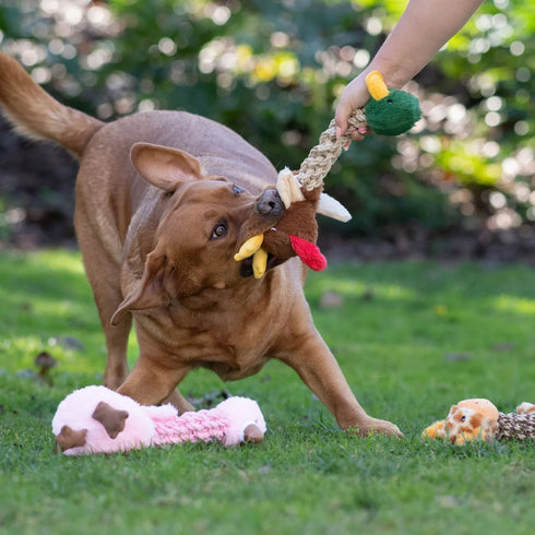 Patchwork Pet Tug and Toss Mallard Duck - 15"