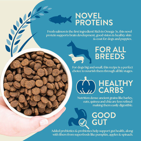 Earthborn Holistic Ancient Grains Dry Dog Food - Unrefined Smoked Salmon - 4lb Bag