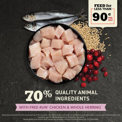 Acana First Feast Kitten Dry Cat Food - Chicken, Turkey, & Herring - 4lb Bag