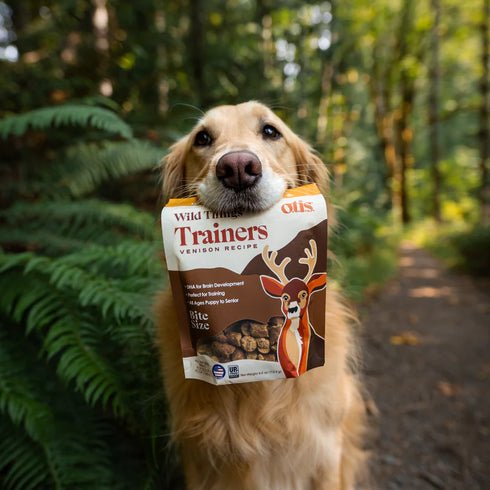 Otis Wild Things Trainers Dog Treats - Venison - 4oz Pouch