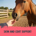 Health Extension Equine Horse Treats - Apple Bites - 2lb Bag