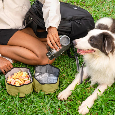 Olly Dog Superbowl Collapsible Dog Bowl - Alchemy