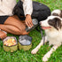 Olly Dog Superbowl Collapsible Dog Bowl - Alchemy